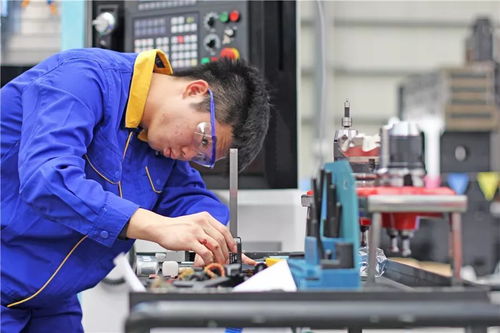 助推其时 梦起洛江 洛江扮好 三大角色 用心做好人才服务工作