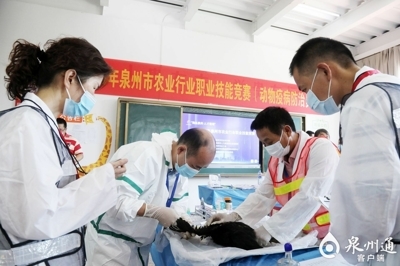泉州市举行2020年农业行业职业技能竞赛