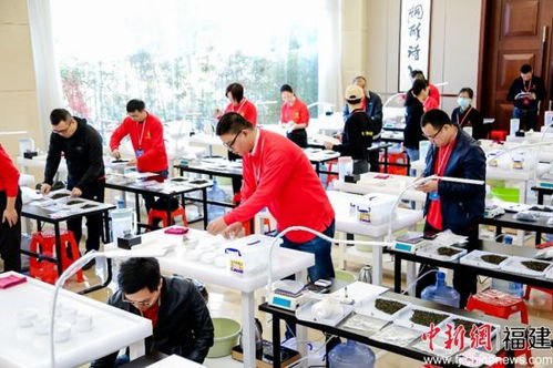 福建省评茶员职业技能竞赛在泉州台商投资区举办