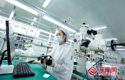 逆势增长 泉州开发区电子信息产业如何化危为机