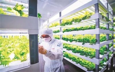 安溪变奏曲 致敬新时代泉州人才