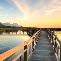 党建引领，人才集聚 泉州人才发展中的党建品牌提升策略