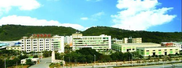 泉州洛江青商展风采 信和新材料与凯达钢结构的创新之路